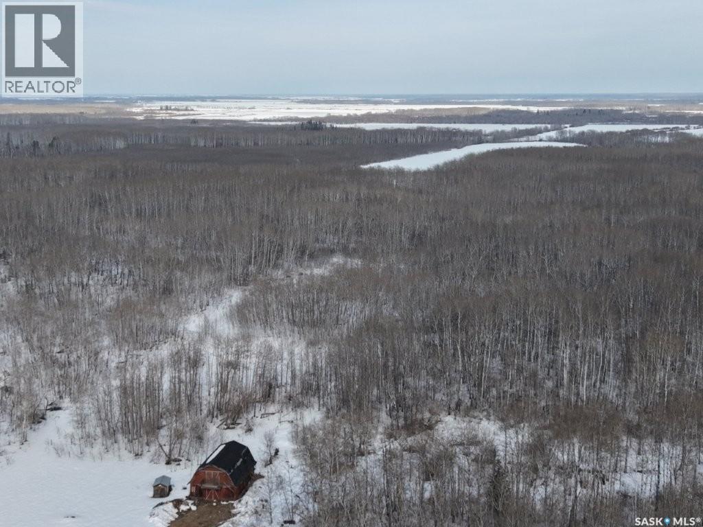 North East 80 Acres River Edge, Hudson Bay Rm No. 394, Saskatchewan  S0E 0Y0 - Photo 15 - SK032912