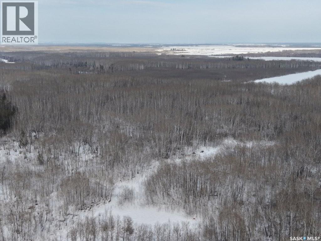 North East 80 Acres River Edge, Hudson Bay Rm No. 394, Saskatchewan  S0E 0Y0 - Photo 10 - SK032912