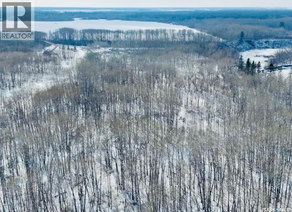North East 80 Acres River Edge, Hudson Bay Rm No. 394, Saskatchewan  S0E 0Y0 - Photo 20 - SK032912
