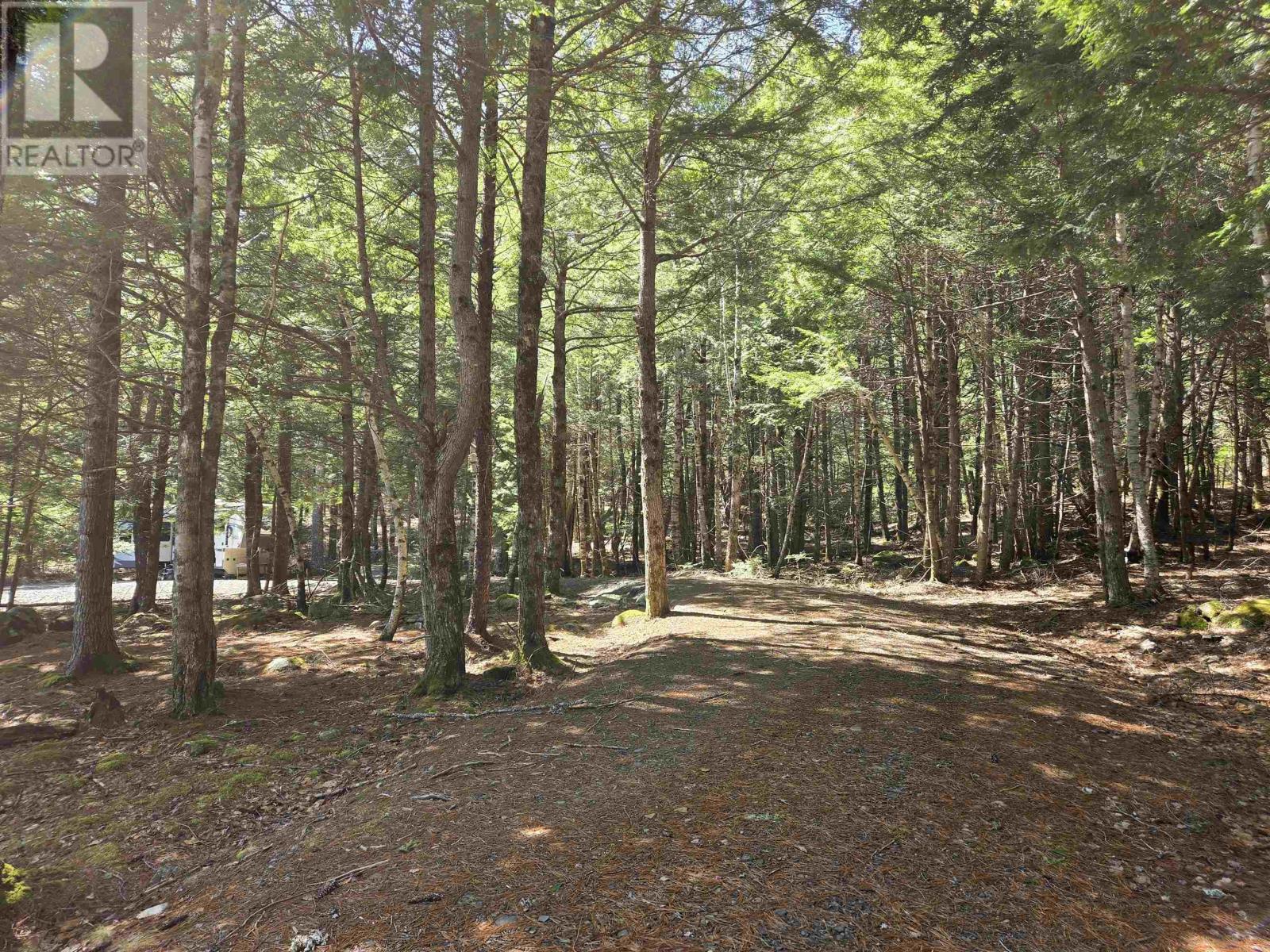 26 Birch Island Road, Westfield, Nova Scotia  B0T 1B0 - Photo 7 - 202607437