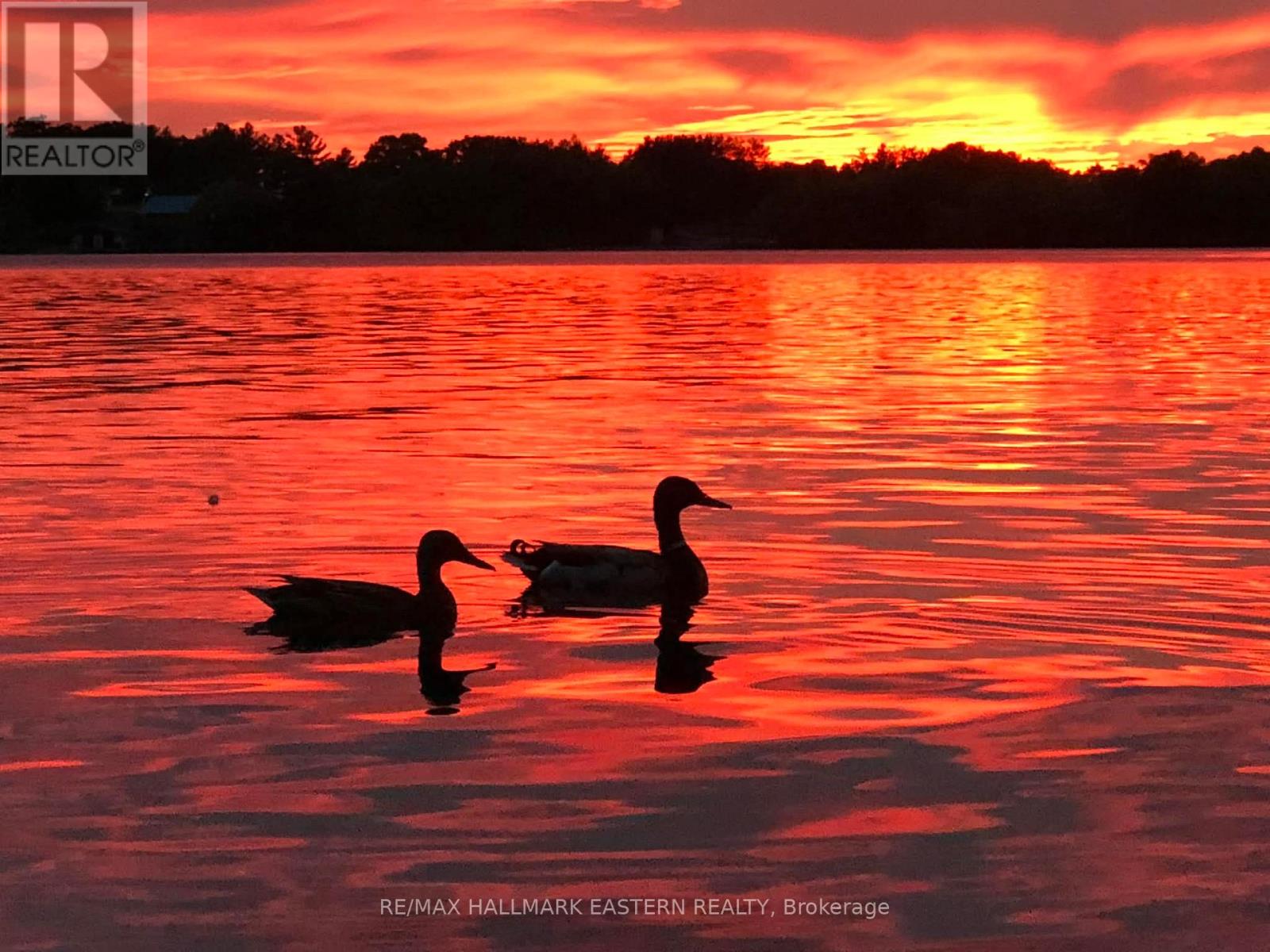 409 Gallivan Drive, Selwyn, Ontario  K0L 1T0 - Photo 12 - X12993192