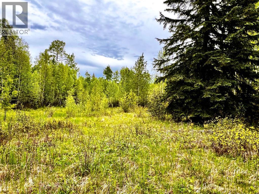 4 Forest Close, Rural Clearwater County, Alberta  T4T 2A4 - Photo 4 - A2301232