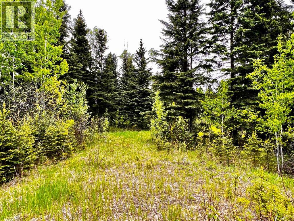4 Forest Close, Rural Clearwater County, Alberta  T4T 2A4 - Photo 3 - A2301232