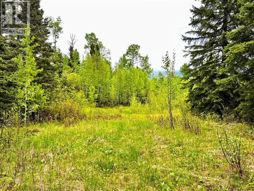 4 Forest Close, Rural Clearwater County, Alberta  T4T 2A4 - Photo 5 - A2301232
