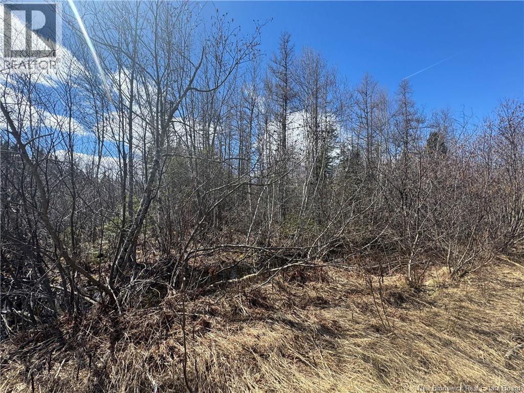 00 Dickson Road, Lawrence Station, New Brunswick  E5A 1S7 - Photo 1 - NB137211