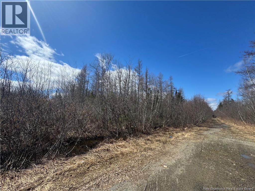 00 Dickson Road, Lawrence Station, New Brunswick  E5A 1S7 - Photo 3 - NB137211