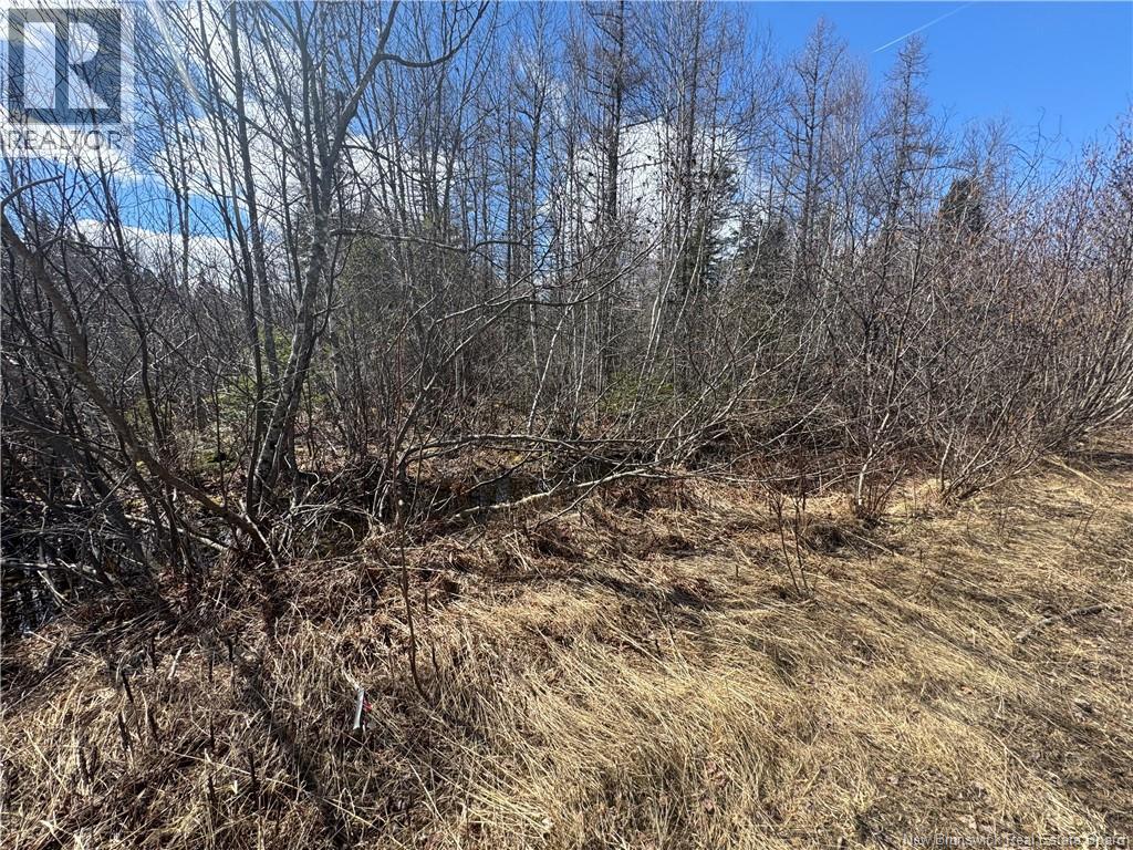 00 Dickson Road, Lawrence Station, New Brunswick  E5A 1S7 - Photo 4 - NB137211