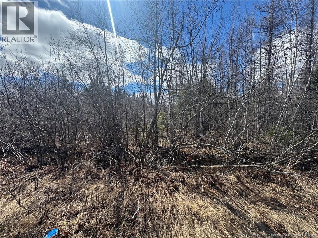 00 Dickson Road, Lawrence Station, New Brunswick  E5A 1S7 - Photo 5 - NB137211