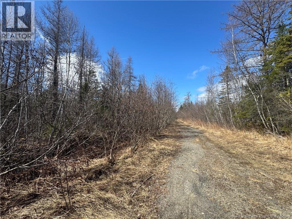 00 Dickson Road, Lawrence Station, New Brunswick  E5A 1S7 - Photo 8 - NB137211