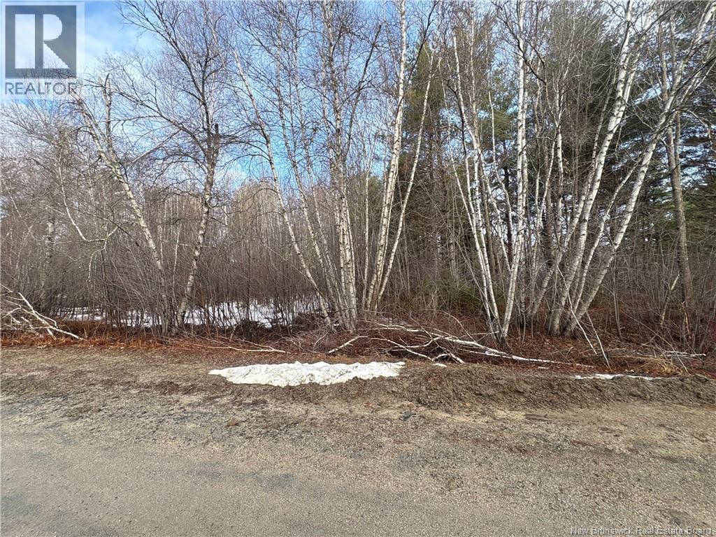 Lot 78-32 Power Street, South Esk, New Brunswick  E1V 4M3 - Photo 2 - NB137193