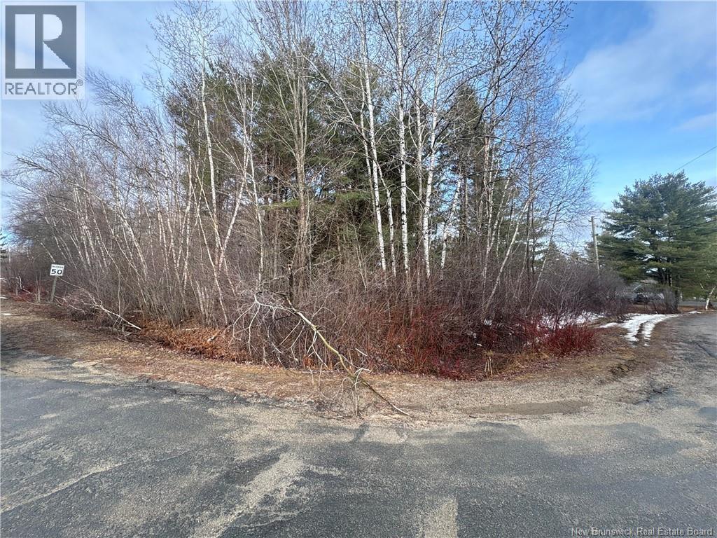 Lot 78-32 Power Street, South Esk, New Brunswick  E1V 4M3 - Photo 3 - NB137193