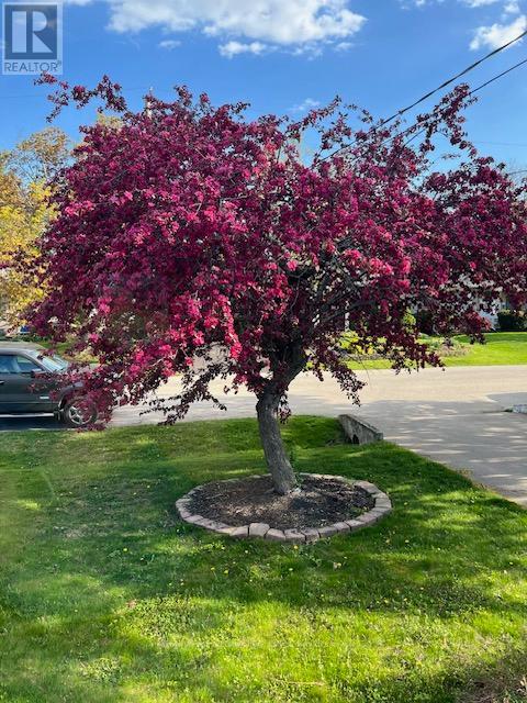 35 Viking Drive, Grimsby, Ontario  L3M 3V2 - Photo 7 - X13000690