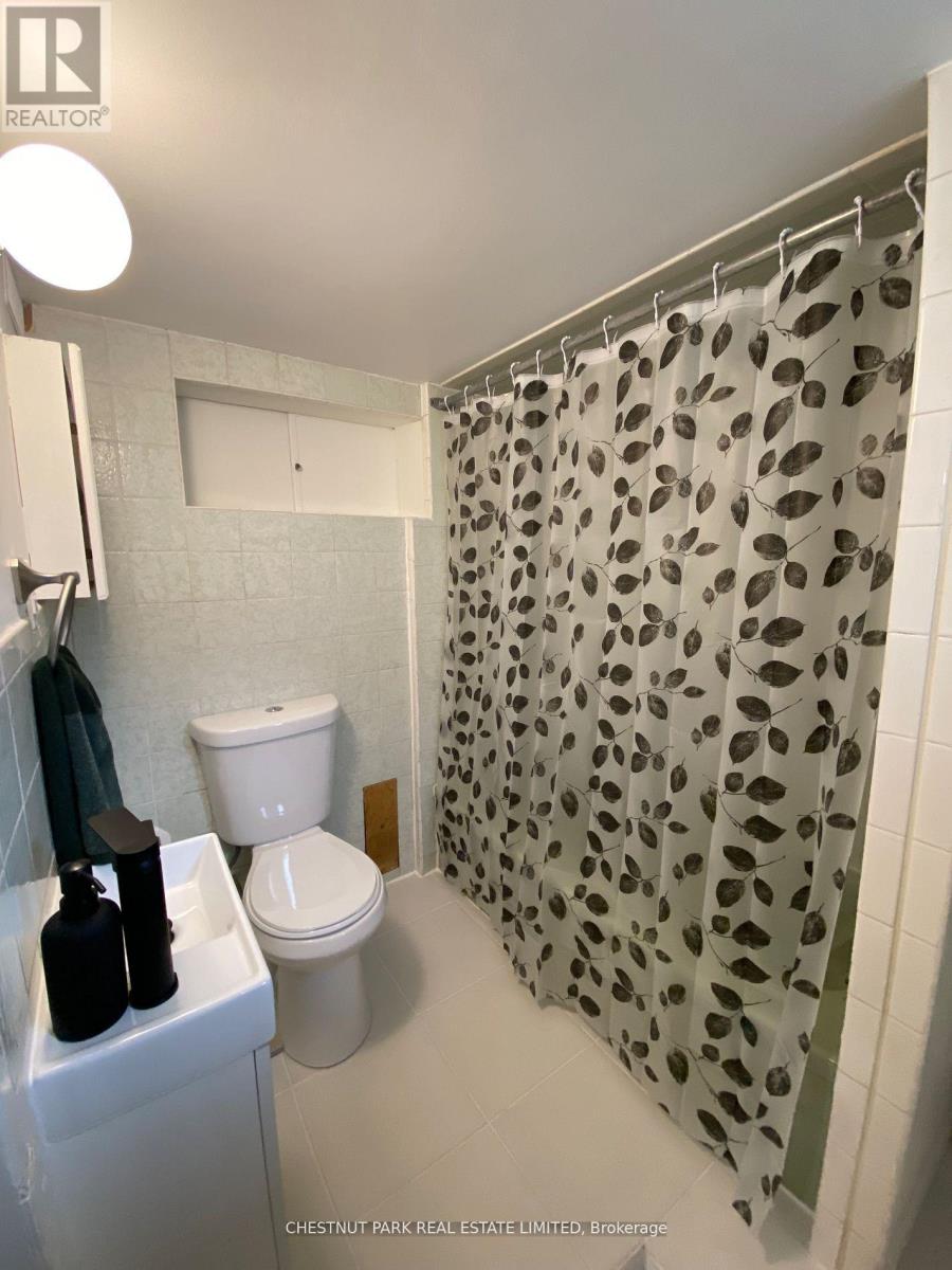 Lower - 173 Chambers Avenue, Toronto, Ontario  M6N 3M5 - Photo 13 - W12995368