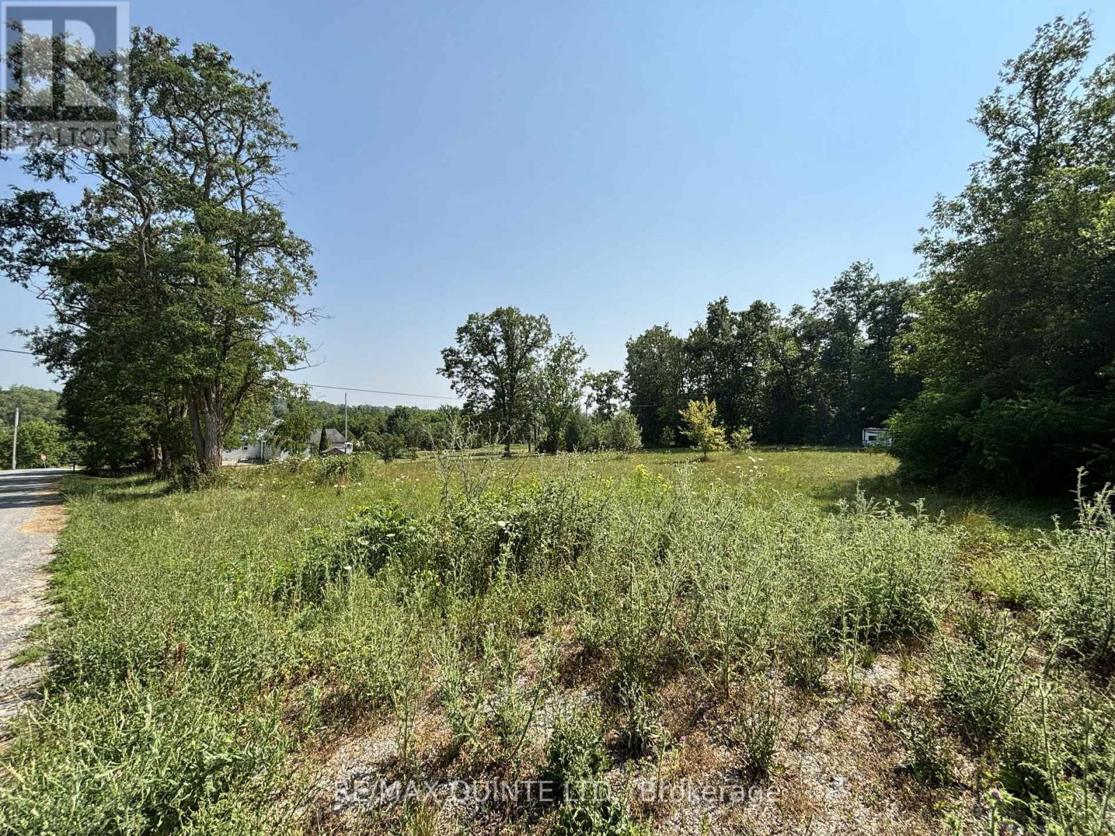 19 Bridge Street, Tyendinaga, Ontario  K0K 2N0 - Photo 5 - X13000964