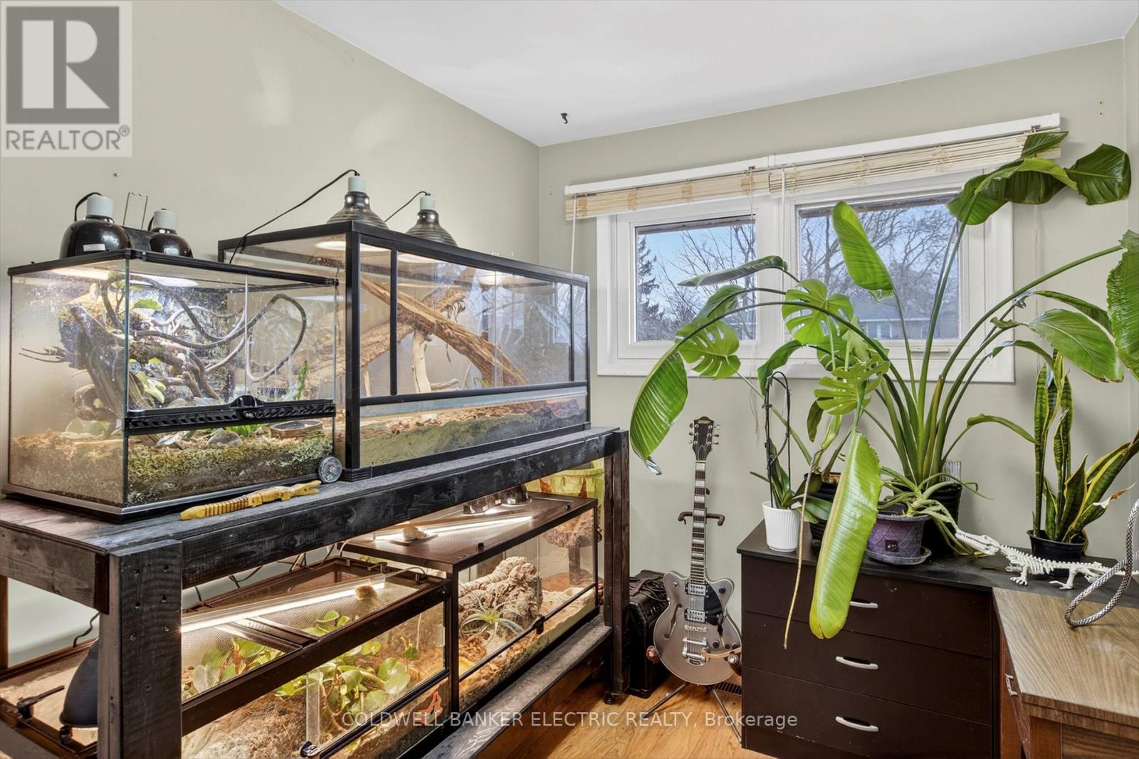 250 Collison Crescent, Peterborough, Ontario  K9J 1A8 - Photo 24 - X13001214