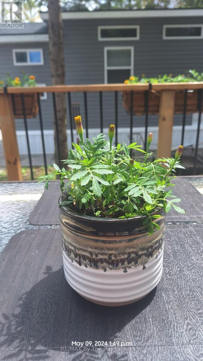 75 - 85 Theme Park Drive, Wasaga Beach, Ontario  L9Z 1X7 - Photo 16 - S13000878