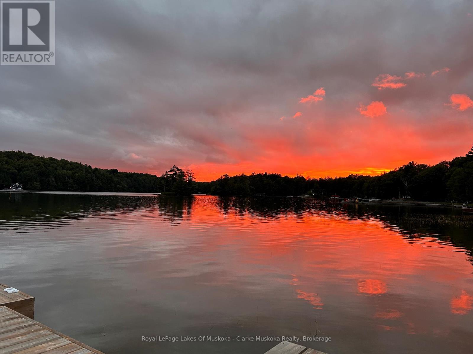 56 Blair Point Road, Seguin, Ontario  P0C 1J0 - Photo 40 - X13001096