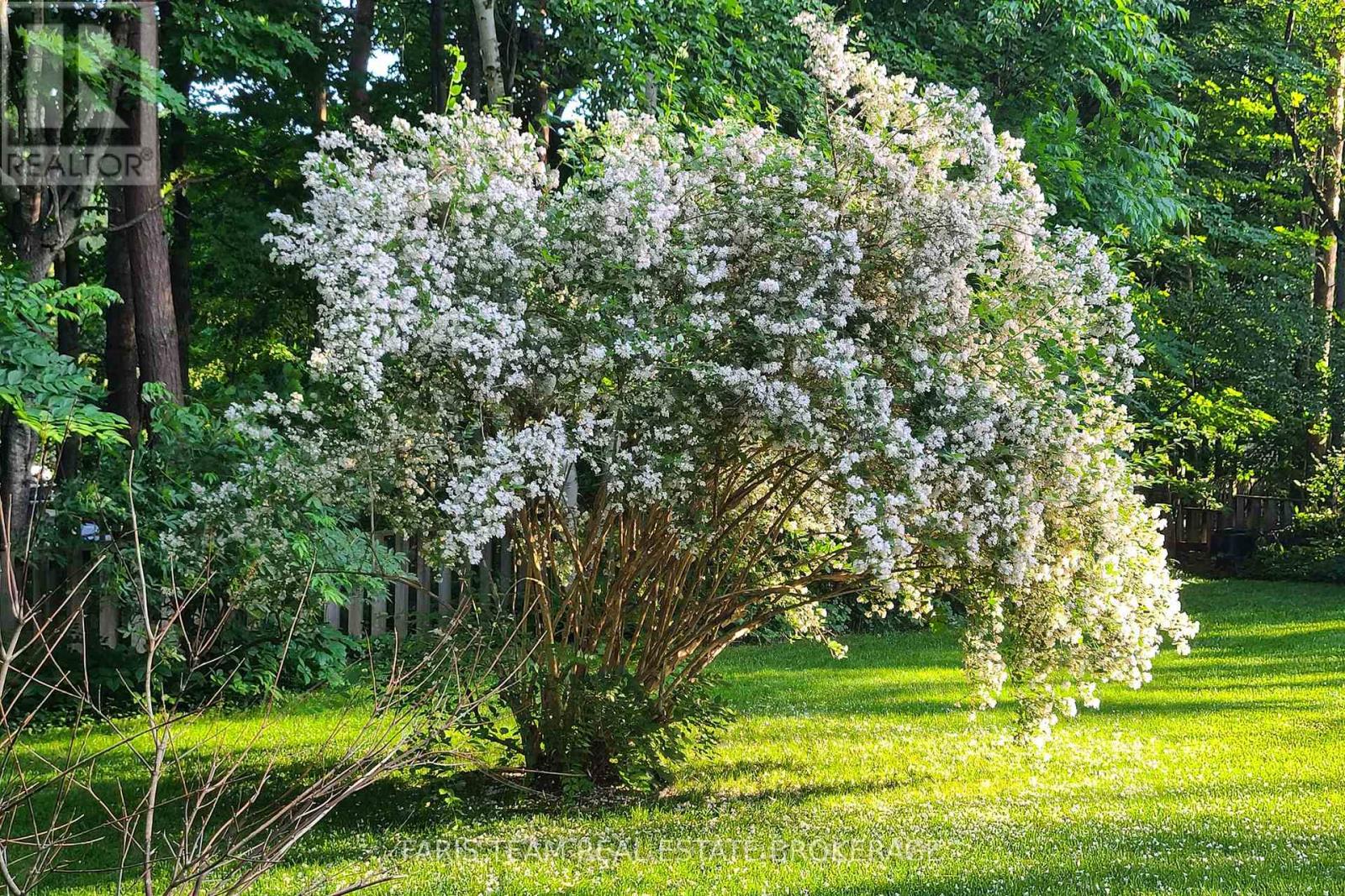 21 Pooles Road, Springwater, Ontario  L9X 0P5 - Photo 47 - S13001168