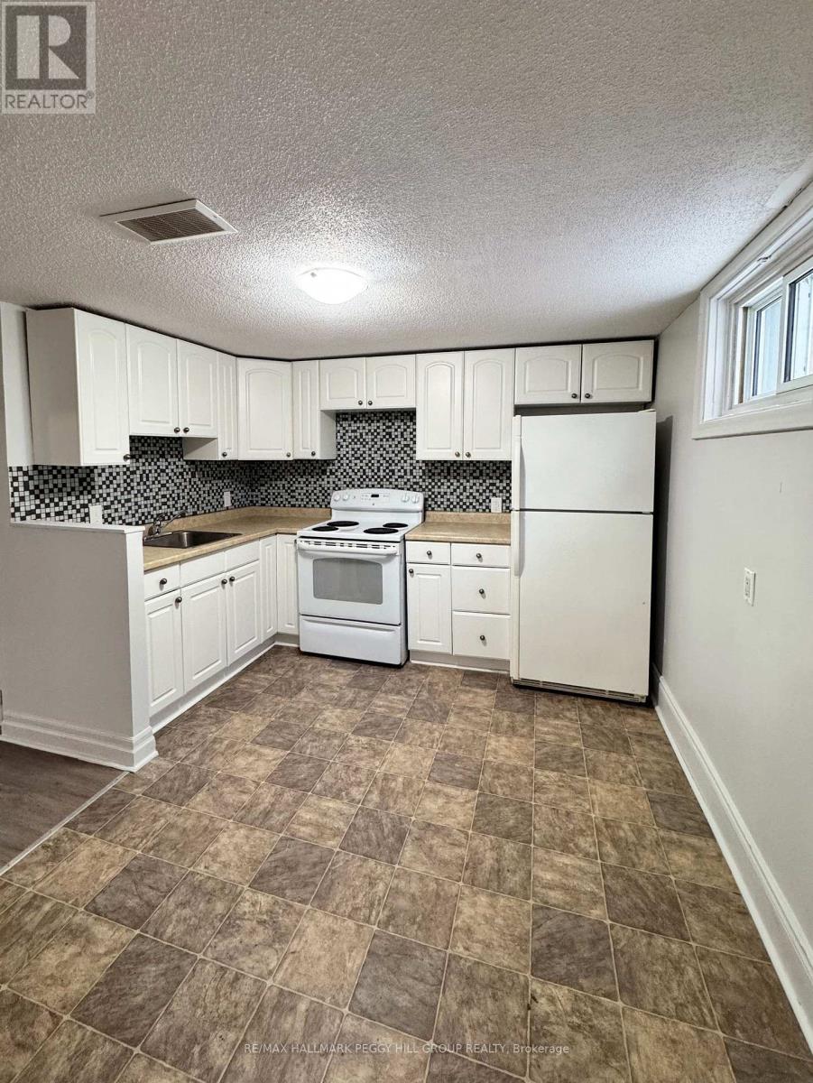 Lower - 124 Berczy Street, Barrie, Ontario  L4M 3R4 - Photo 2 - S13001170