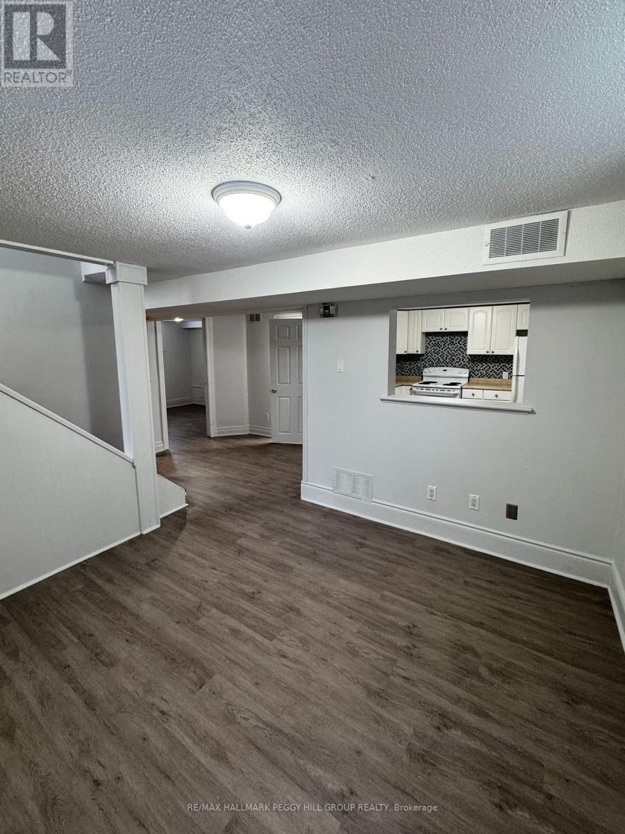 Lower - 124 Berczy Street, Barrie, Ontario  L4M 3R4 - Photo 4 - S13001170