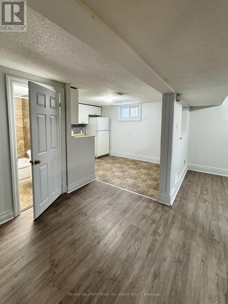 Lower - 124 Berczy Street, Barrie, Ontario  L4M 3R4 - Photo 5 - S13001170