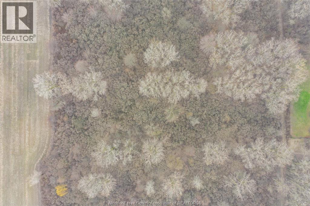 V/l Theodore, Lasalle, Ontario  N9J 1N4 - Photo 10 - 26007833