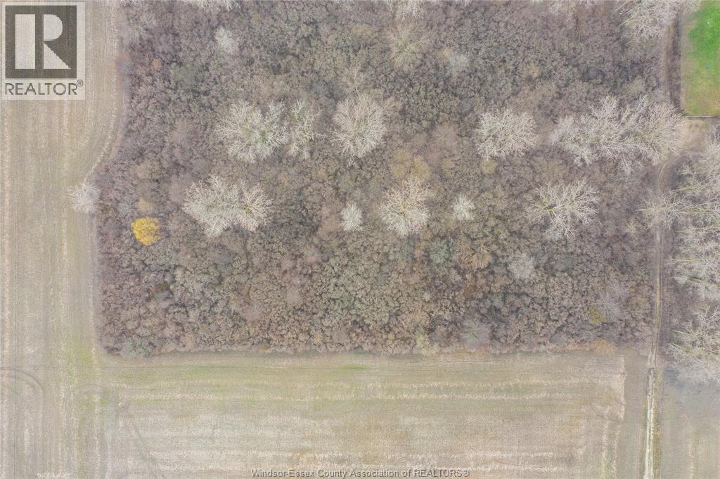 V/l Theodore, Lasalle, Ontario  N9J 1N4 - Photo 9 - 26007833