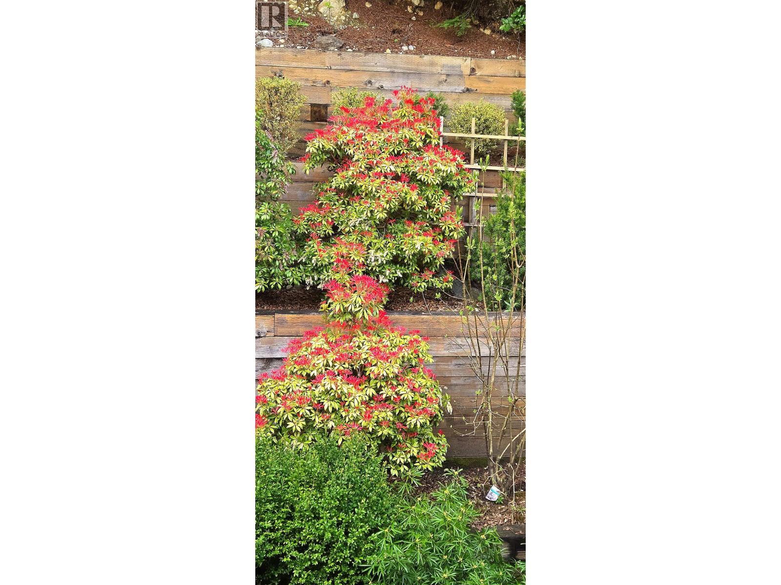 3973 Braemar Place, North Vancouver, British Columbia  V7N 4M8 - Photo 37 - R3111251