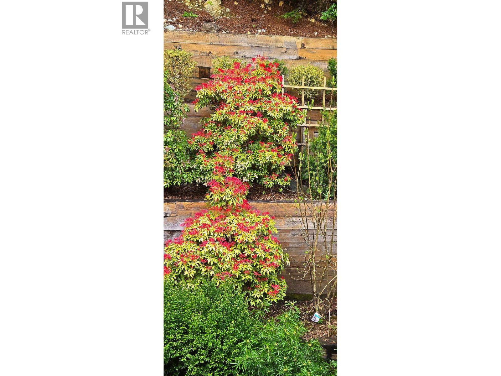 3973 Braemar Place, North Vancouver, British Columbia  V7N 4M8 - Photo 36 - R3111251