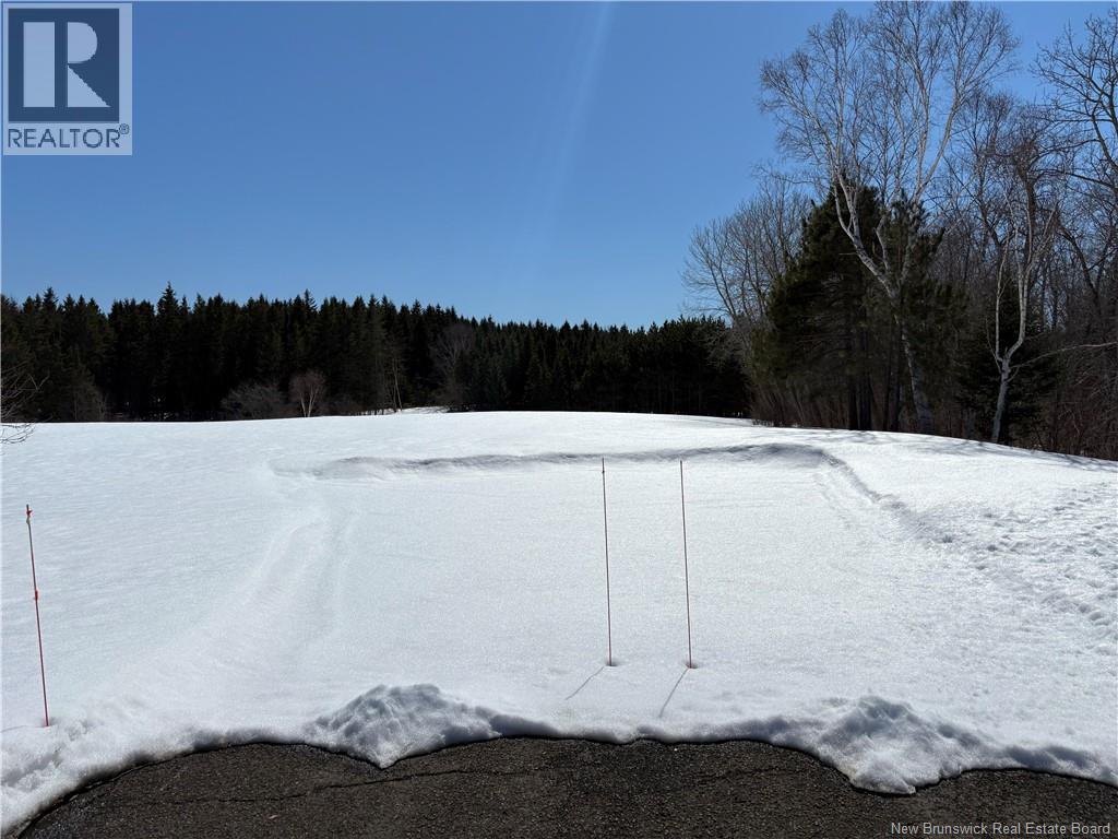 23173 Route 134, Nash Creek, New Brunswick  E8G 1B7 - Photo 8 - NB136962