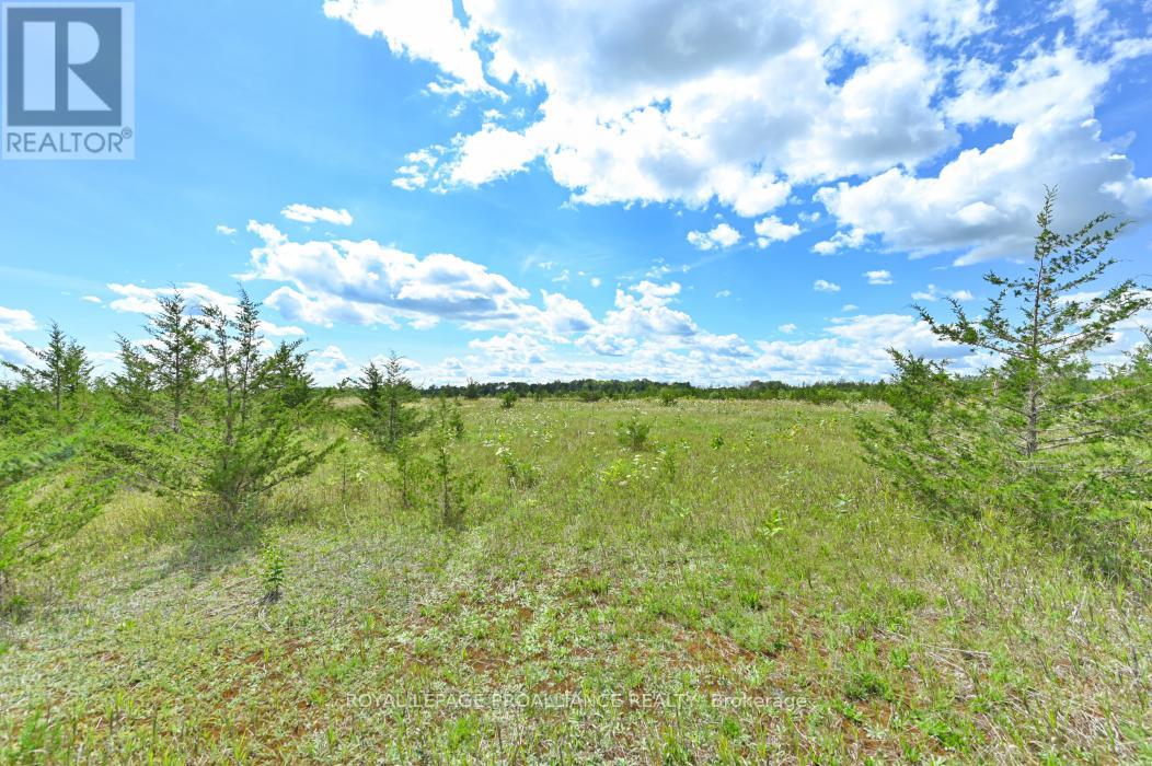 1575 Marysville Road, Tyendinaga, Ontario  K0K 2N0 - Photo 3 - X12695644