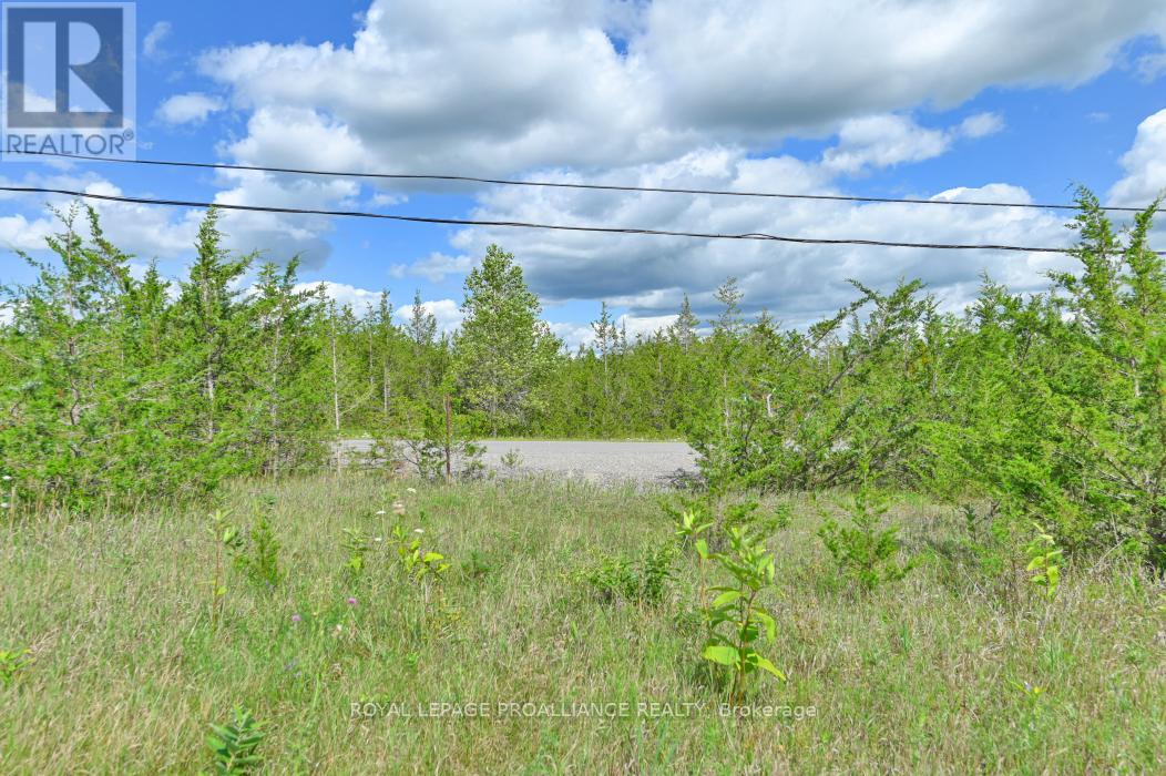 1575 Marysville Road, Tyendinaga, Ontario  K0K 2N0 - Photo 5 - X12695644