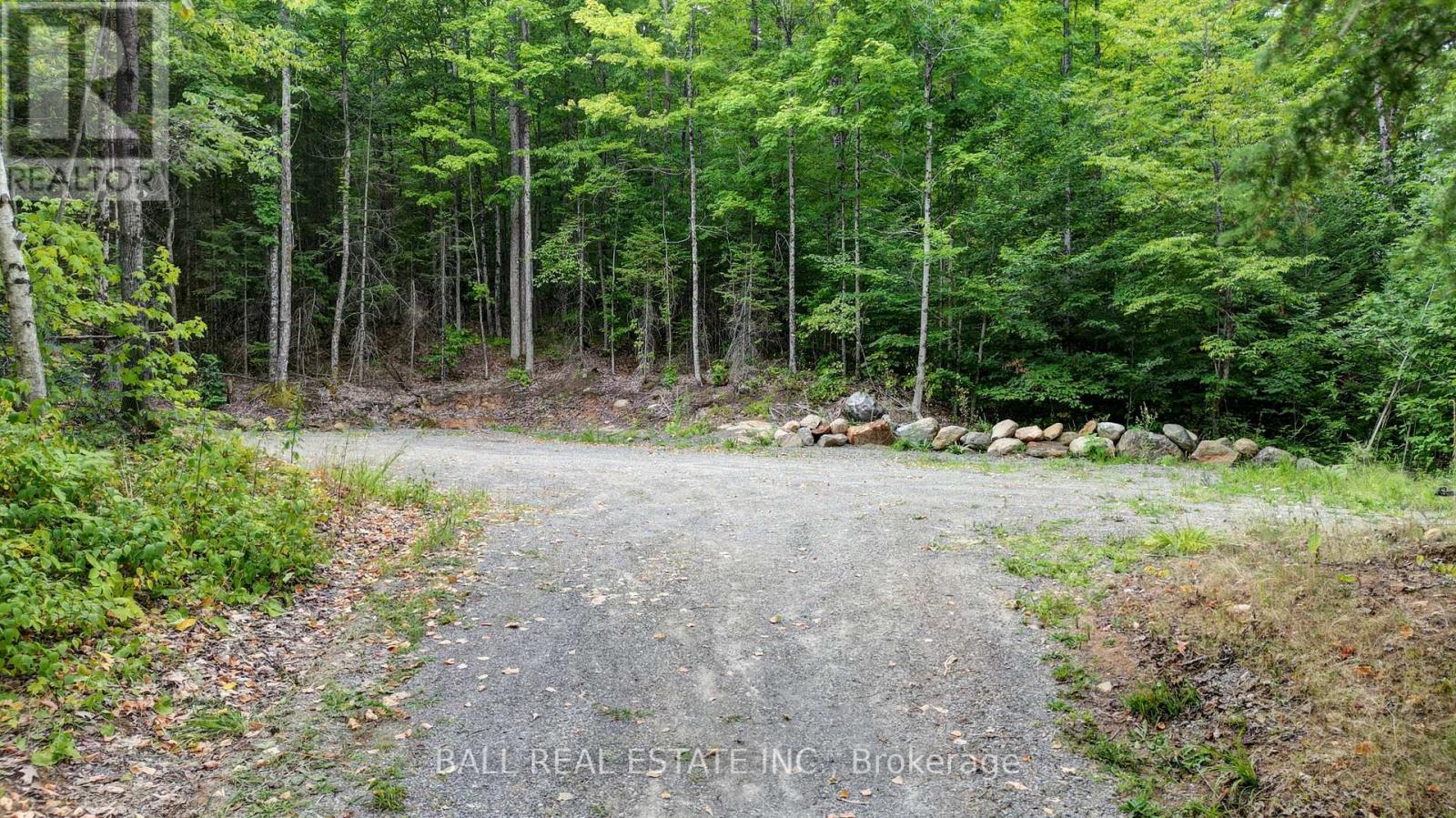 2884 Old Hastings Road, Limerick, Ontario  K0L 1P0 - Photo 35 - X12334093