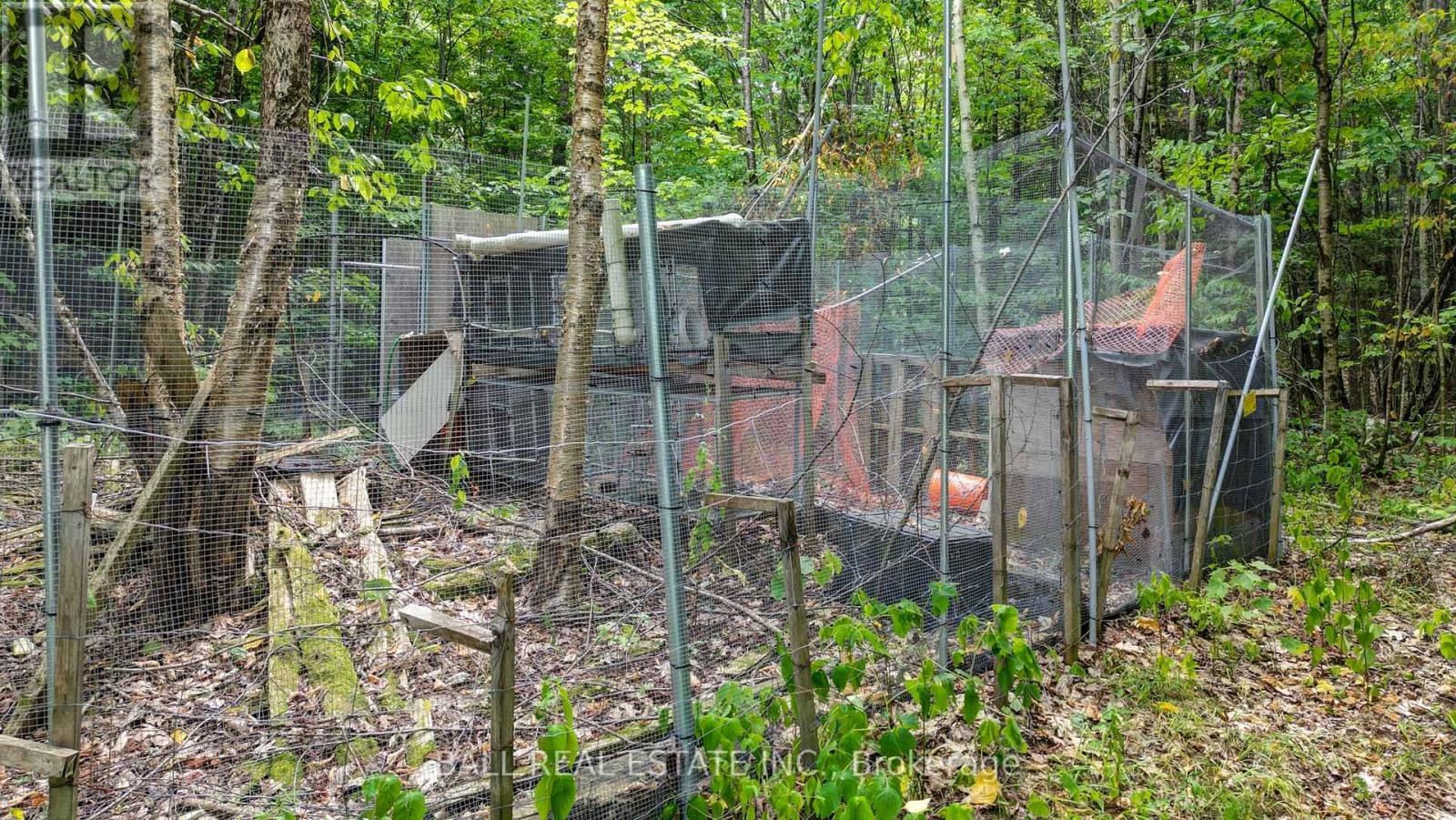 2884 Old Hastings Road, Limerick, Ontario  K0L 1P0 - Photo 40 - X12334093