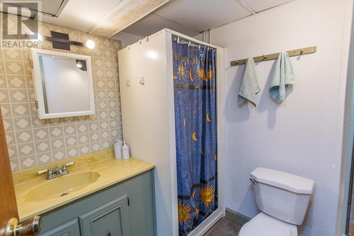 593 Pine St, Sault Ste. Marie, Ontario  P6B 3E8 - Photo 18 - SM260696