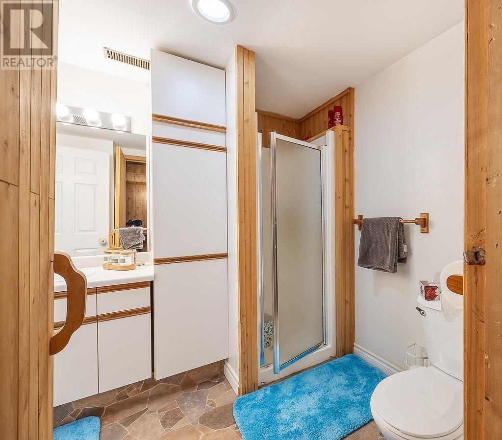 27 Plummer Cres, Sault Ste. Marie, Ontario  P6B 6E4 - Photo 35 - SM260695