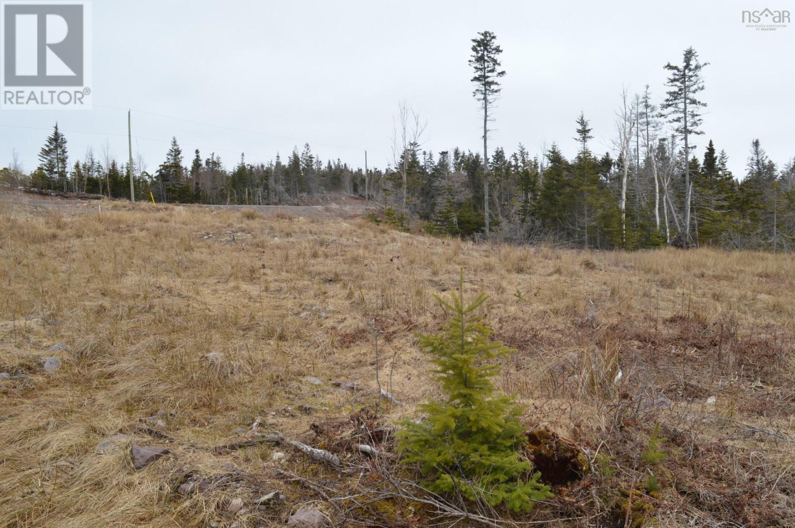 2021-3 Morningview Lane, Catalone Gut, Nova Scotia  B1C 2B4 - Photo 15 - 202607460