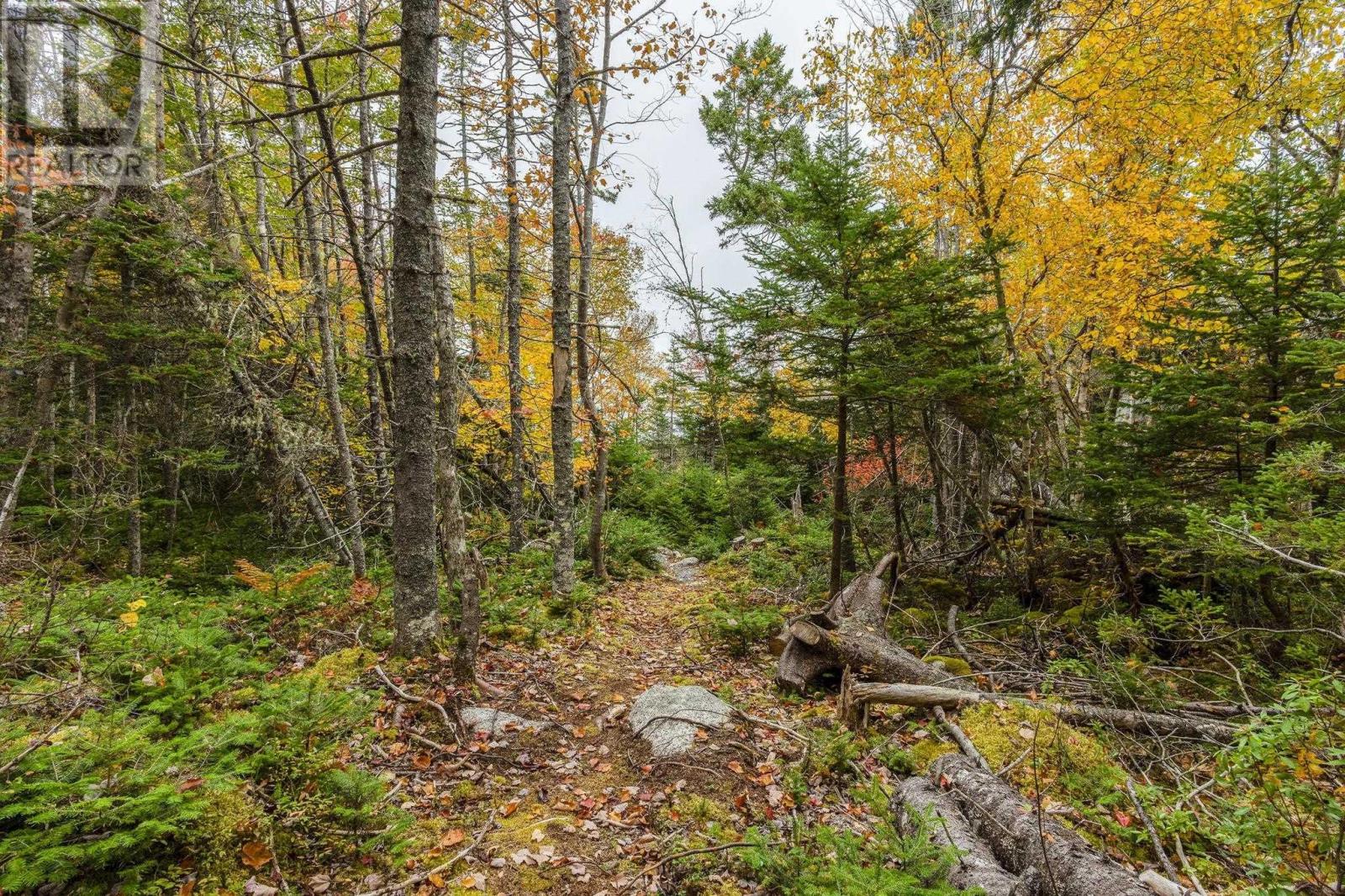 Lot Scott's Point Road, East Dover, Nova Scotia  B3Z 3W2 - Photo 11 - 202607461