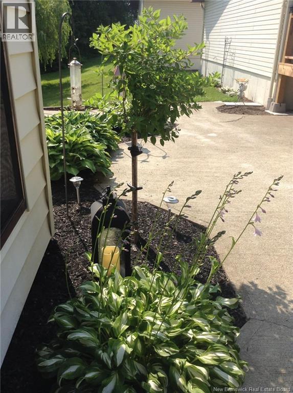 81 Principale, Pointe-Verte, New Brunswick  E8J 2W2 - Photo 10 - NB137235