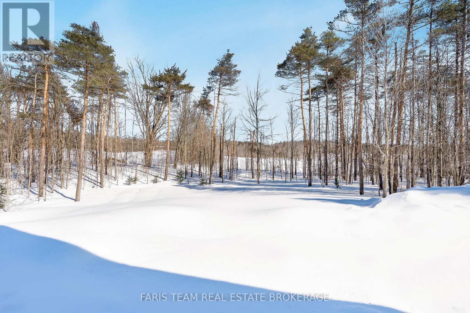 22 Houben Crescent, Oro-Medonte, Ontario  L0L 1T0 - Photo 40 - S13001712