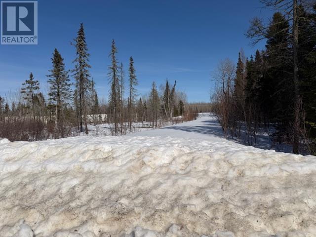 Lot 4 Enders Rd, Conmee, Ontario  P0T 1W0 - Photo 3 - TB2600702