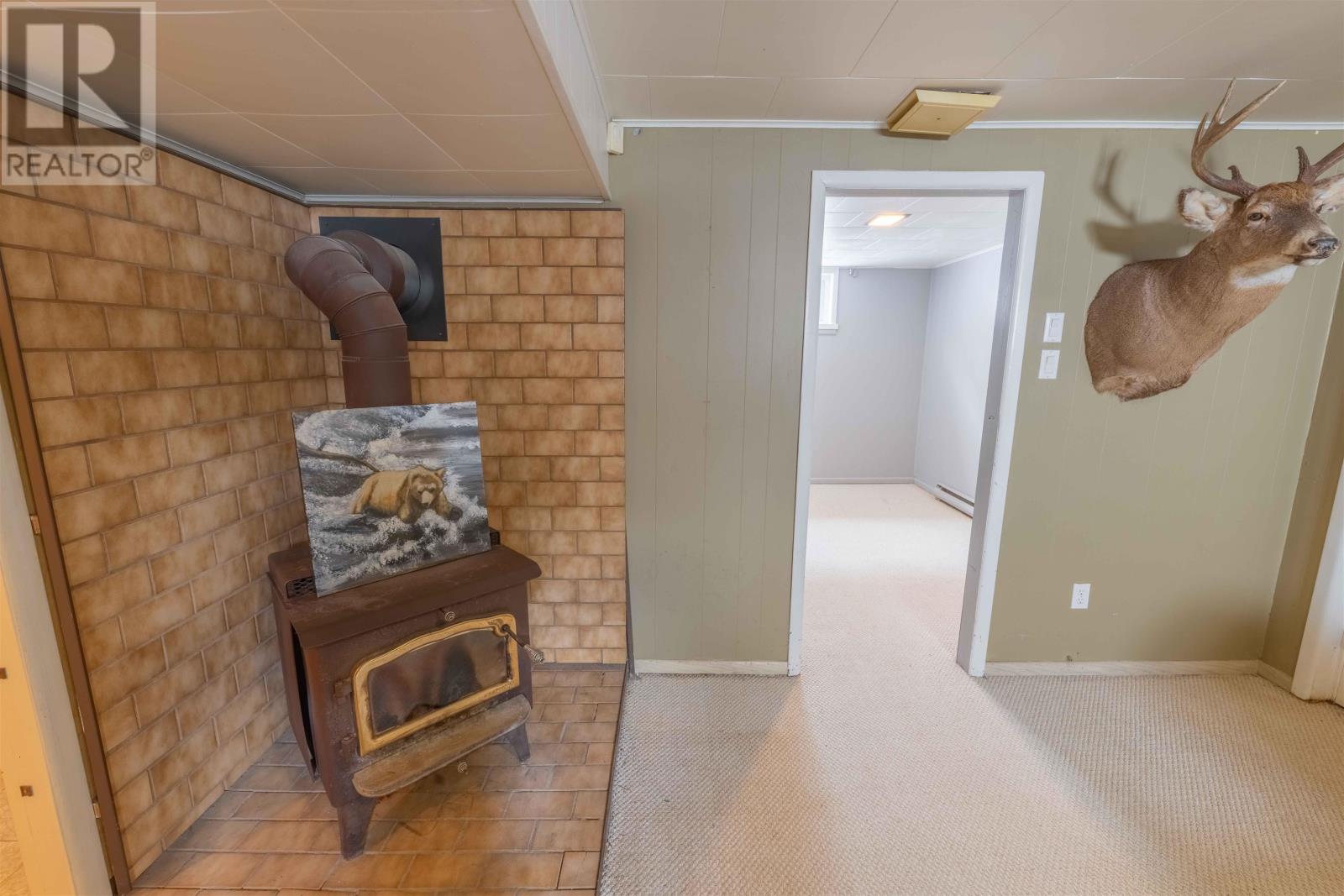 157 Burriss St, Thunder Bay, Ontario  P7A 3E3 - Photo 18 - TB2600706