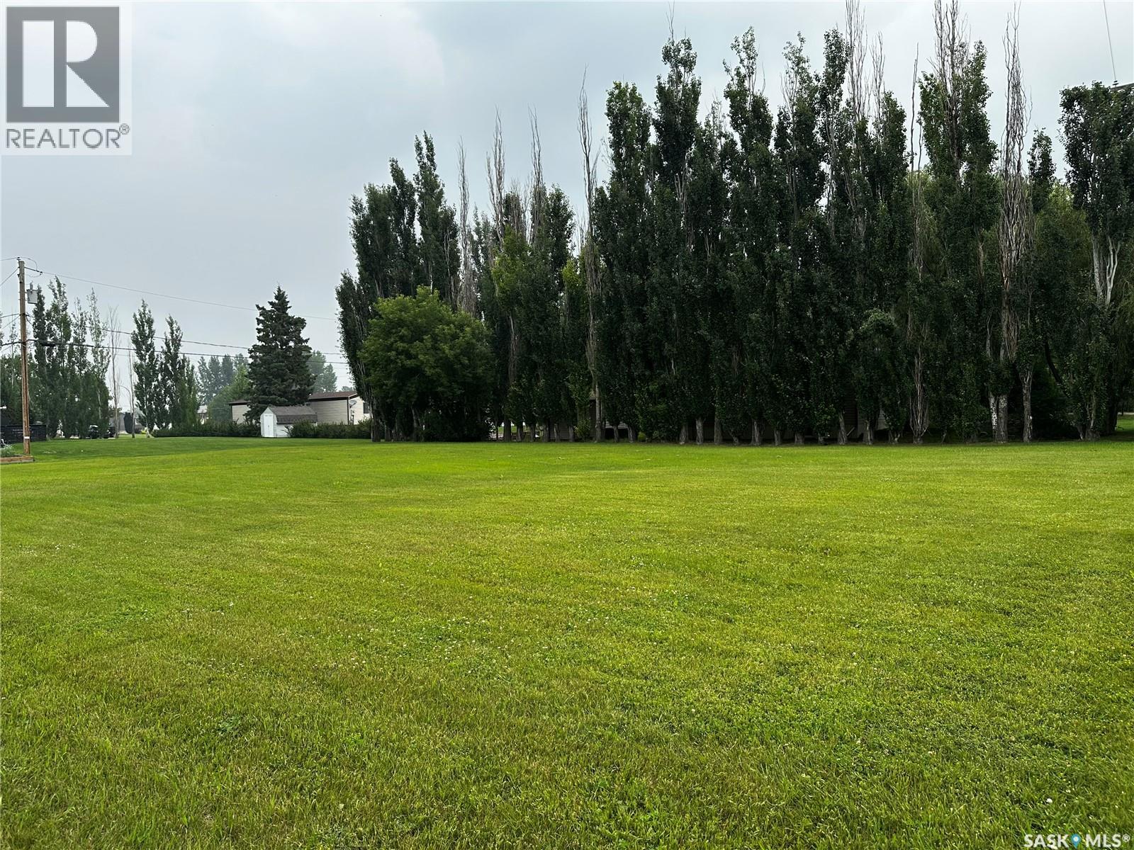 304 Road Avenue E, Langenburg, Saskatchewan  S0A 2A0 - Photo 3 - SK032985