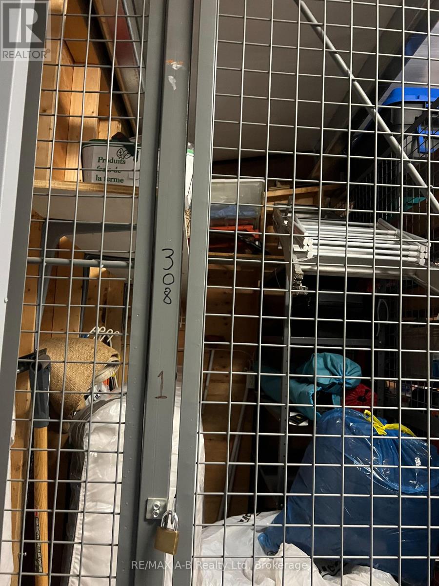 308 - 199 Hope Street E, East Zorra-Tavistock, Ontario  N0B 2R0 - Photo 39 - X12999686