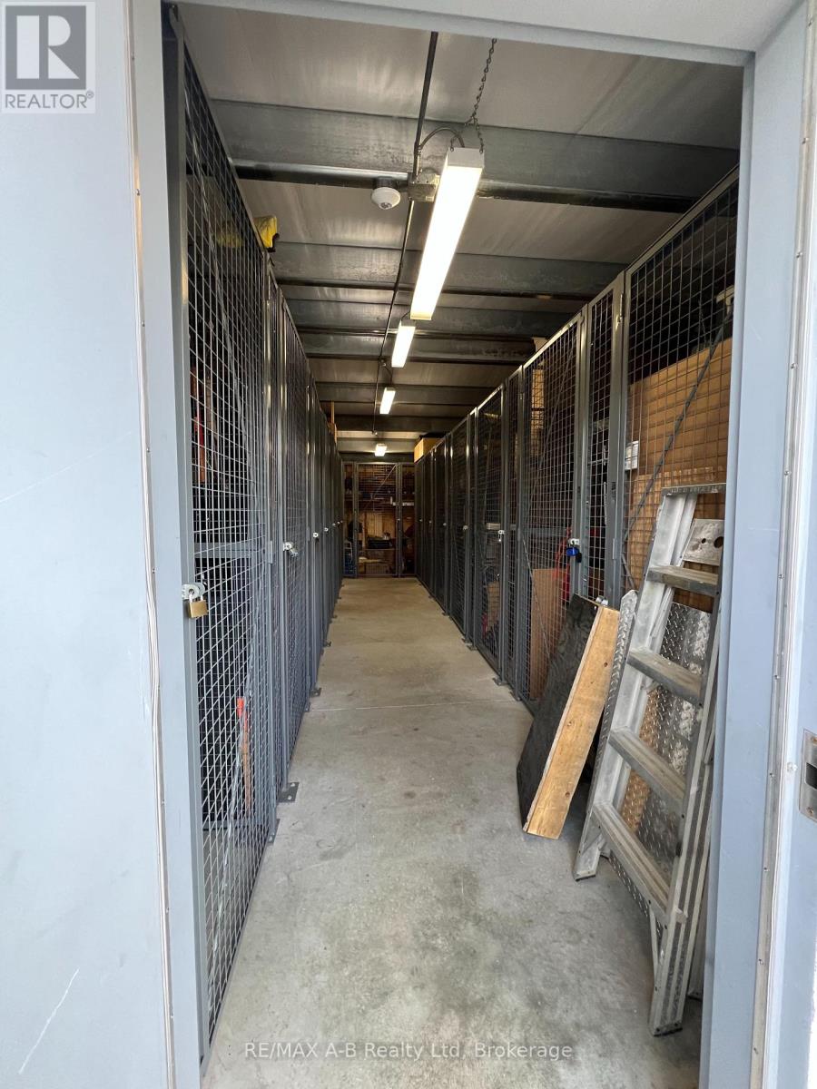 308 - 199 Hope Street E, East Zorra-Tavistock, Ontario  N0B 2R0 - Photo 42 - X12999686