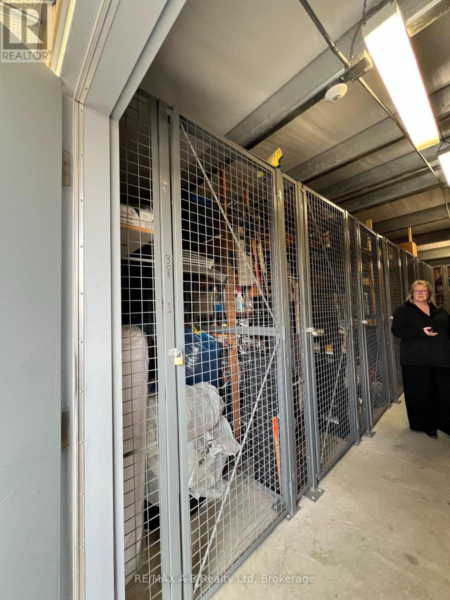 308 - 199 Hope Street E, East Zorra-Tavistock, Ontario  N0B 2R0 - Photo 41 - X12999686