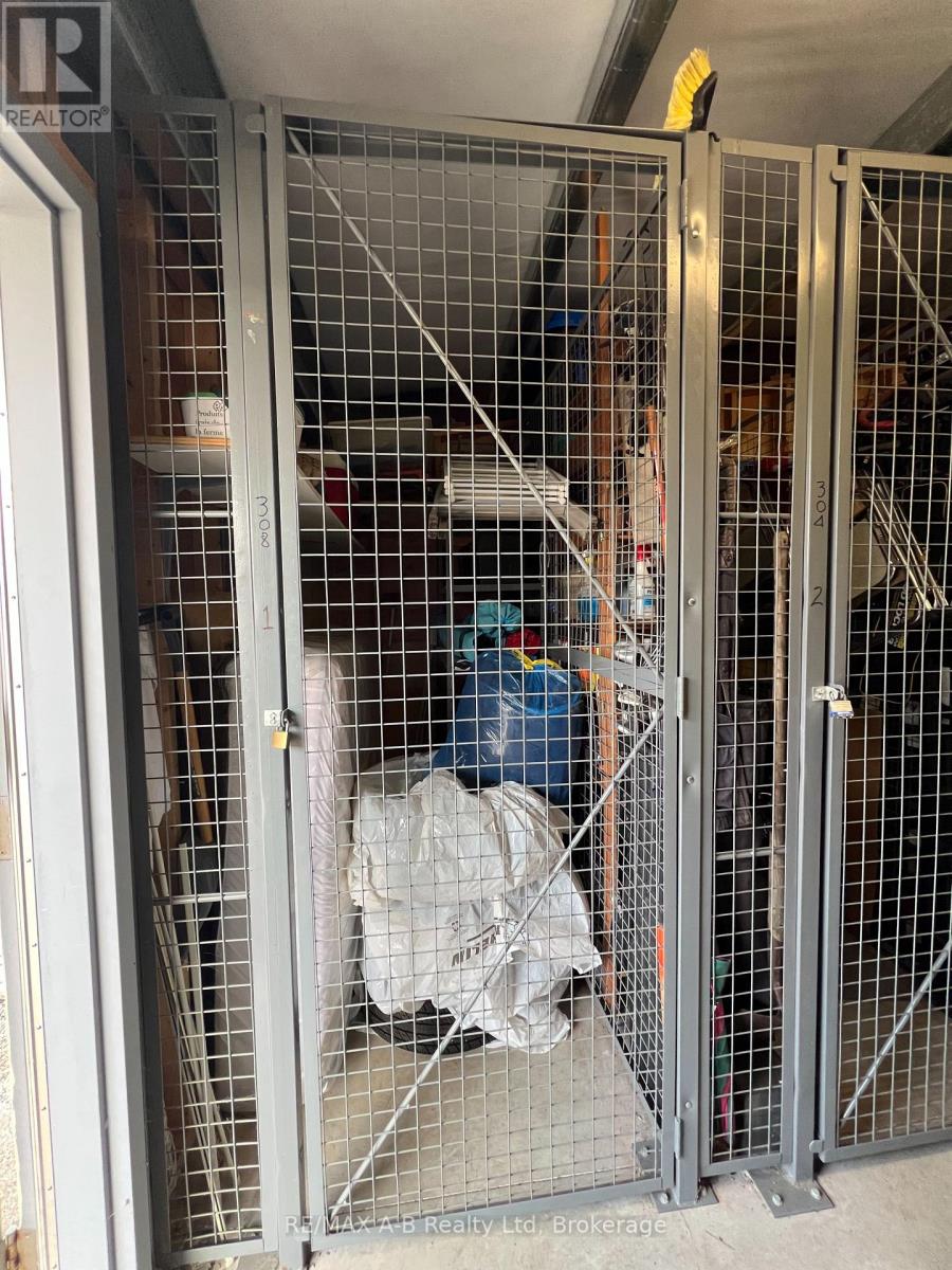 308 - 199 Hope Street E, East Zorra-Tavistock, Ontario  N0B 2R0 - Photo 44 - X12999686