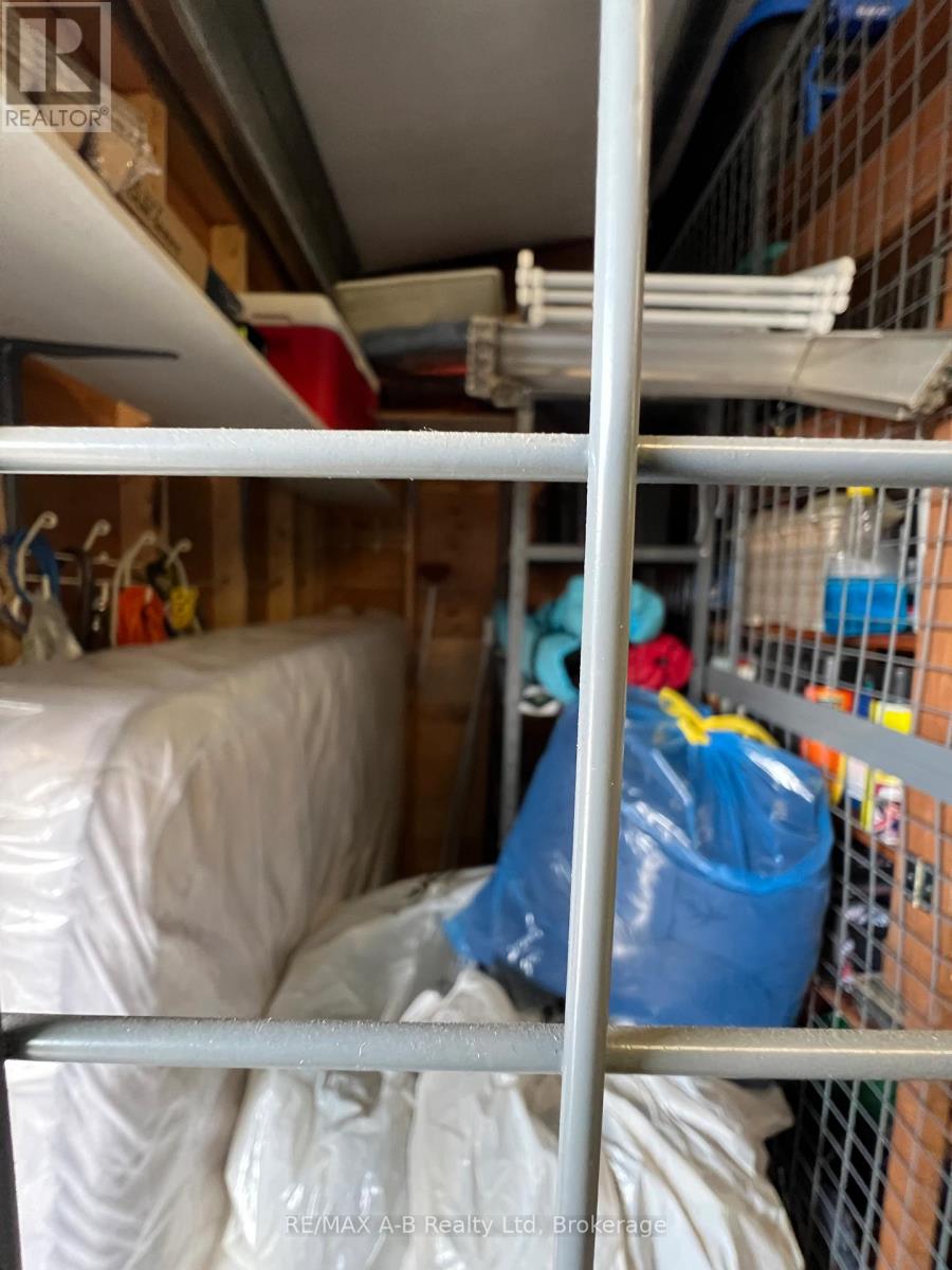 308 - 199 Hope Street E, East Zorra-Tavistock, Ontario  N0B 2R0 - Photo 43 - X12999686