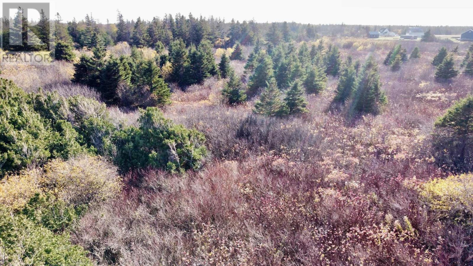 863233 Sea Watch Drive, Miminegash, Prince Edward Island  C0B 1Z0 - Photo 10 - 202607469