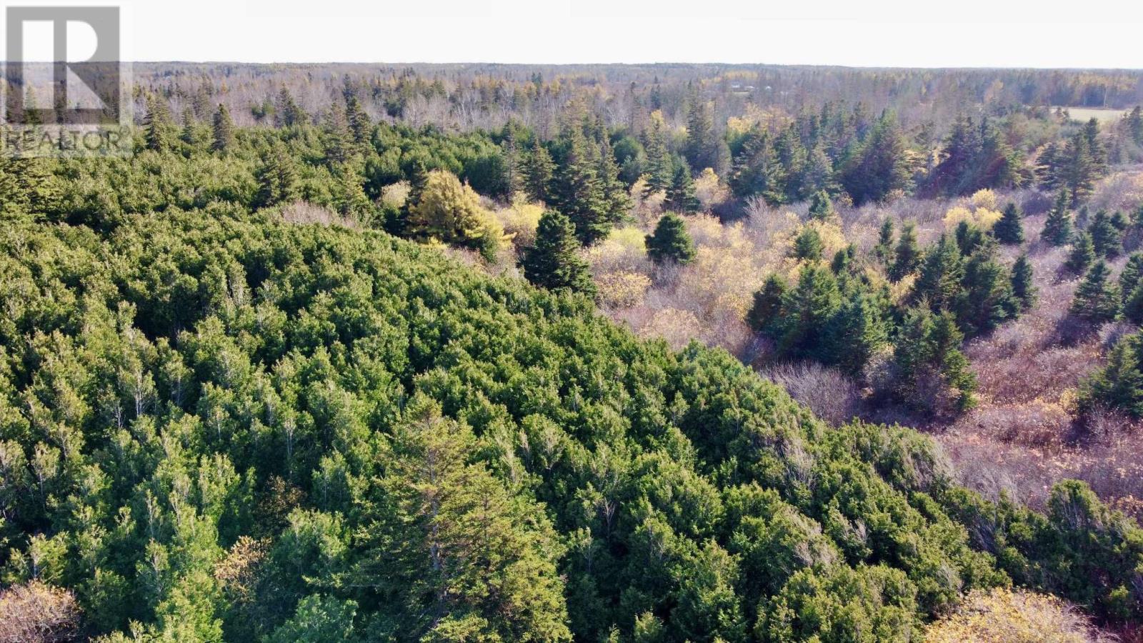 863233 Sea Watch Drive, Miminegash, Prince Edward Island  C0B 1Z0 - Photo 17 - 202607469